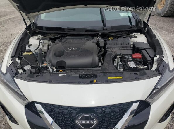1N4AA6FVXPC501161 2023 NISSAN MAXIMA PLATINUM White Вид задньої частини салону