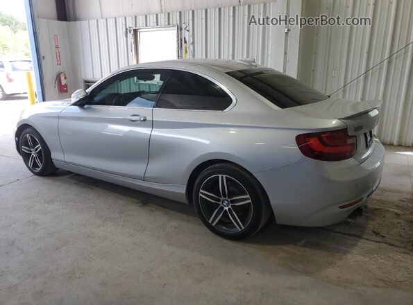 WBA2F9C36HV664915 2017 BMW 2 SERIES Silver Задня права чверть