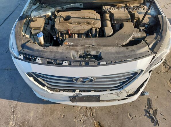 5NPE24AF9HH558017 2017 HYUNDAI SONATA White 