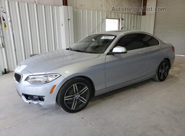 WBA2F9C36HV664915 2017 BMW 2 SERIES Silver Задня ліва чверть