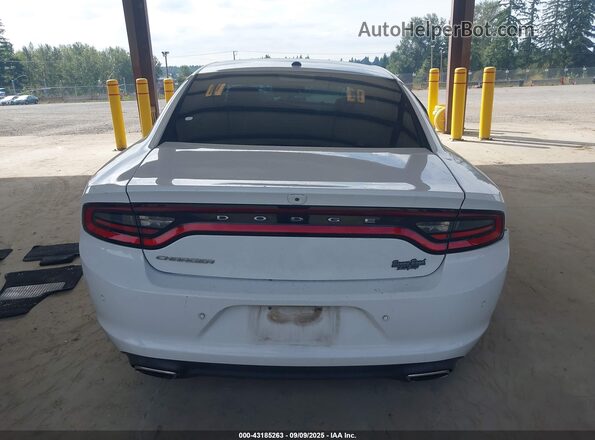 2C3CDXBG1LH116817 2020 DODGE CHARGER Белый 