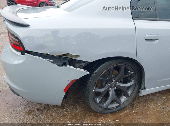 2C3CDXBG4LH241259 2020 DODGE CHARGER Серый Вид спереди