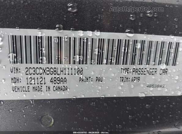 2C3CDXBG8LH111100 2020 DODGE CHARGER Gray Engine compartment view