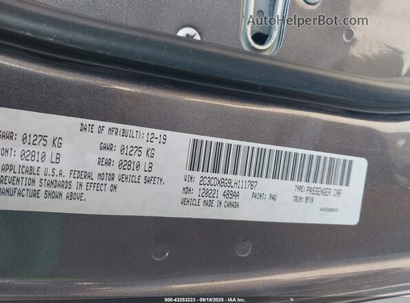 2C3CDXBG9LH111767 2020 DODGE CHARGER Gray Engine compartment view