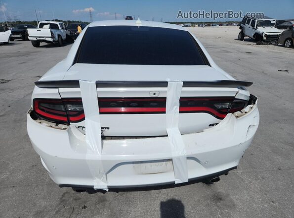 2C3CDXHG2LH229229 2020 DODGE CHARGER White Rear view