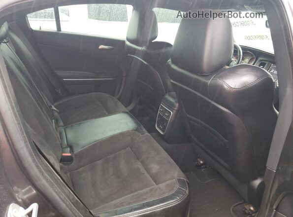 2C3CDXMG0LH200981 2020 DODGE CHARGER Gray Vista de los asientos traseros