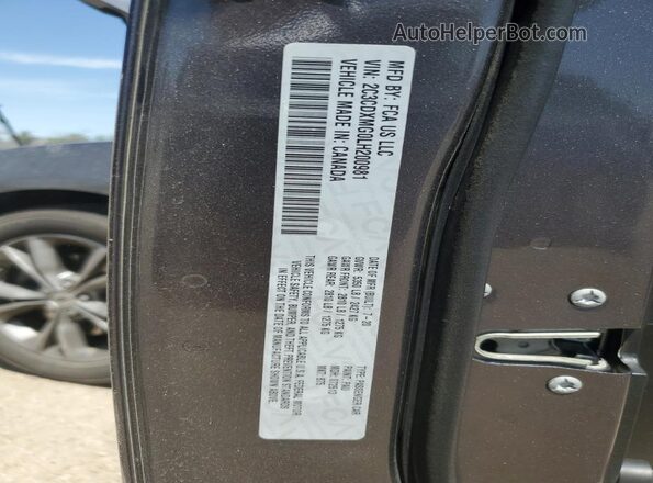 2C3CDXMG0LH200981 2020 DODGE CHARGER Gray Vista de la etiqueta del VIN