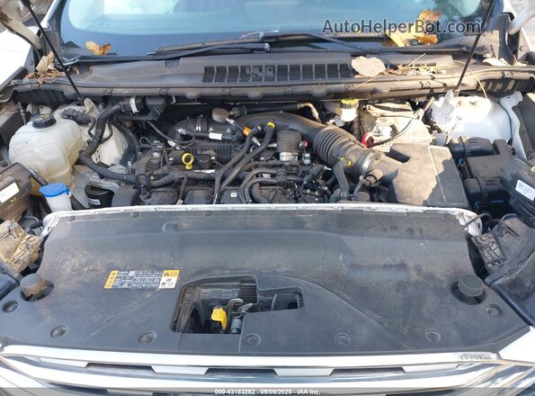 2FMPK3K94LBA23740 2020 FORD EDGE White Հետևի տեսք