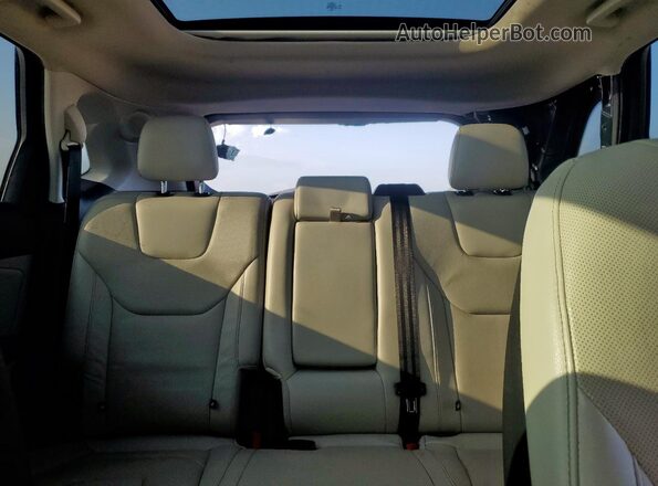 2FMPK3K96KBB21439 2019 FORD EDGE Blue უკანა სავარძლების ხედი