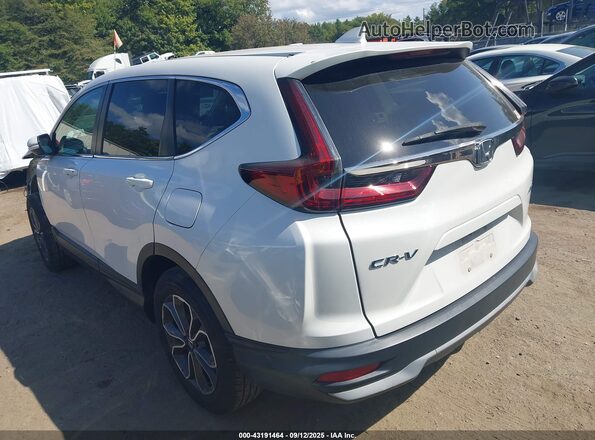 2HKRW2H84LH643535 2020 HONDA CR-V White Հետևի ձախ