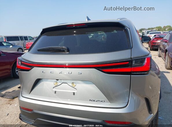 2T2ADCAZ0RC012574 2024 LEXUS NX 250 Gray 