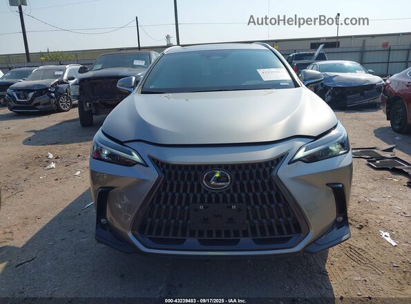 2T2ADCAZ0RC012574 2024 LEXUS NX 250 Gray Vista del salpicadero
