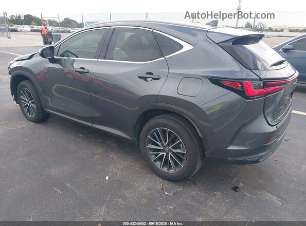 2T2ADCAZ4SC019436 2025 LEXUS NX 250 Gray Trasero izquierdo