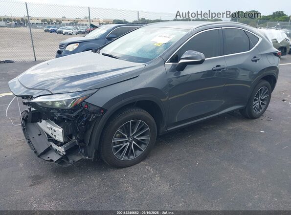 2T2ADCAZ4SC019436 2025 LEXUS NX 250 Gray Vista tres cuartos delantera izquierda