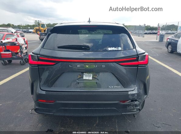 2T2ADCAZ4SC019436 2025 LEXUS NX 250 Gray 