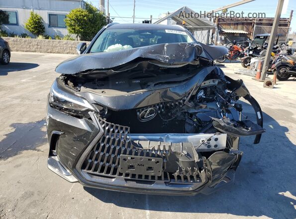 2T2ADCAZ6RC006245 2024 LEXUS NX Black Front view