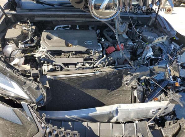 2T2ADCAZ6RC006245 2024 LEXUS NX Black Engine compartment view