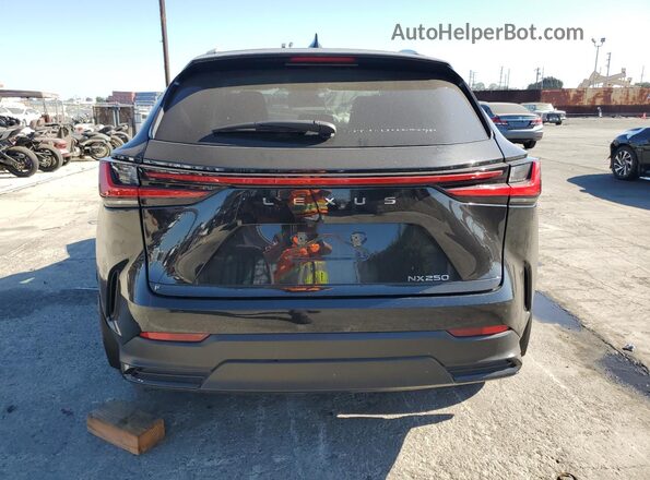 2T2ADCAZ6RC006245 2024 LEXUS NX Black Rear view