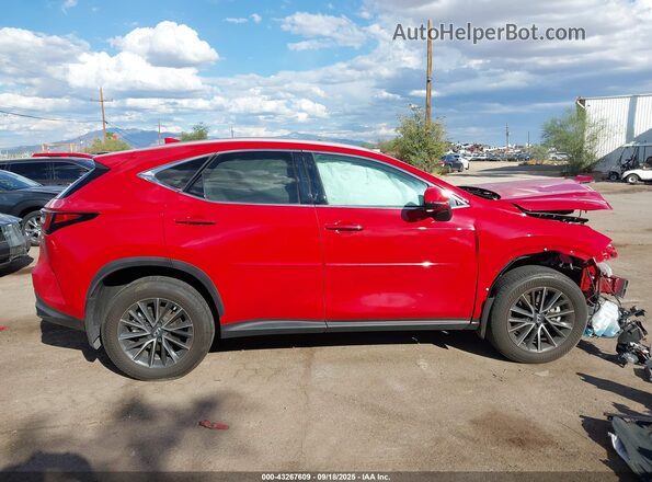 2T2ADCEZ5NC001428 2022 LEXUS NX 250 Red Սալոնի 360 աստիճան տեսք