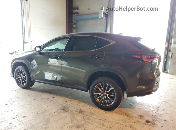 2T2AGCEZ0NC015129 2022 LEXUS NX Green 