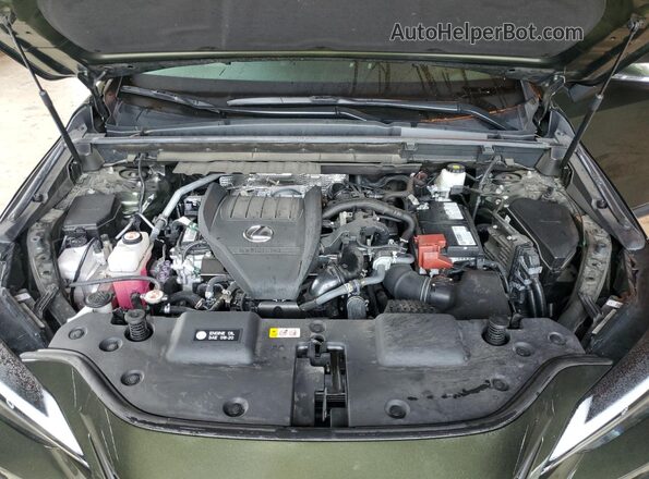 2T2AGCEZ0NC015129 2022 LEXUS NX Green 
