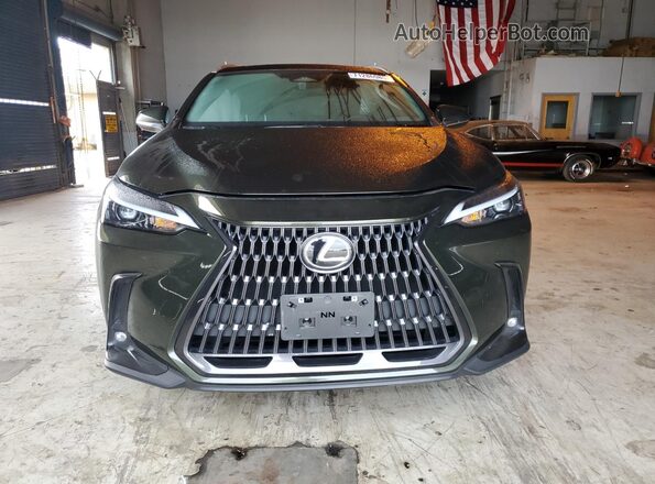 2T2AGCEZ0NC015129 2022 LEXUS NX Green 