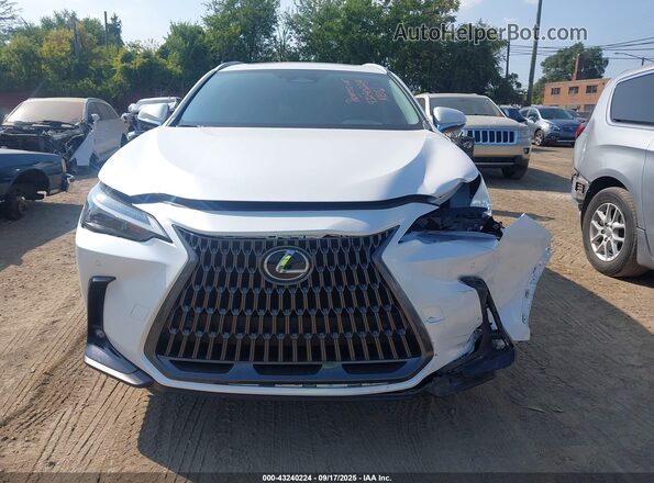 2T2AGCEZ4SC070162 2025 LEXUS NX 350 White Vista frontal