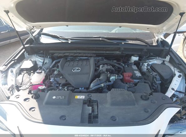 2T2AGCEZ4SC070162 2025 LEXUS NX 350 White Vista trasera