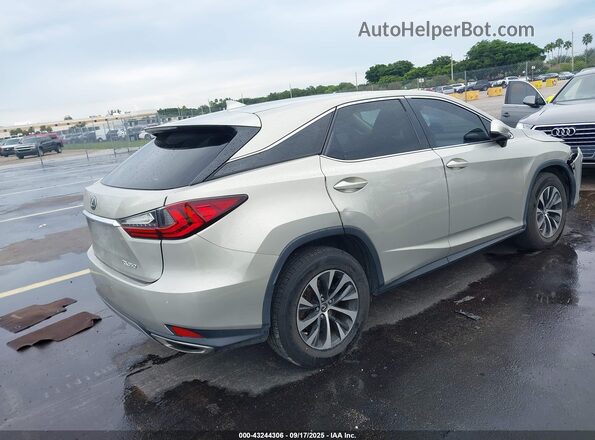 2T2AZMAA8LC174462 2020 LEXUS RX Gray Հետևի աջ