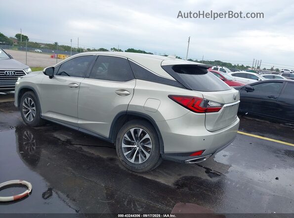 2T2AZMAA8LC174462 2020 LEXUS RX Gray Հետևի ձախ