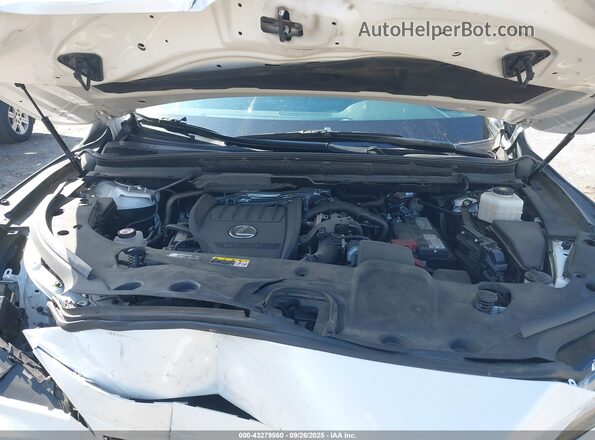 2T2BAMBA7PC017182 2023 LEXUS RX 350 White Հետևի տեսք