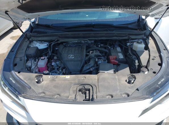 2T2BAMCA6PC028723 2023 LEXUS RX 350 White Rear view