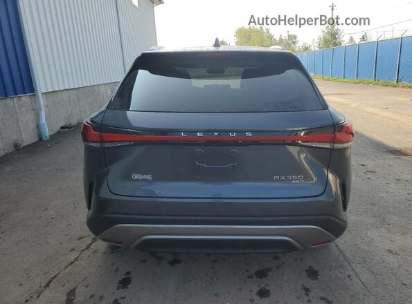 2T2BAMCA7SC099972 2025 LEXUS RX Gray Вид ззаду