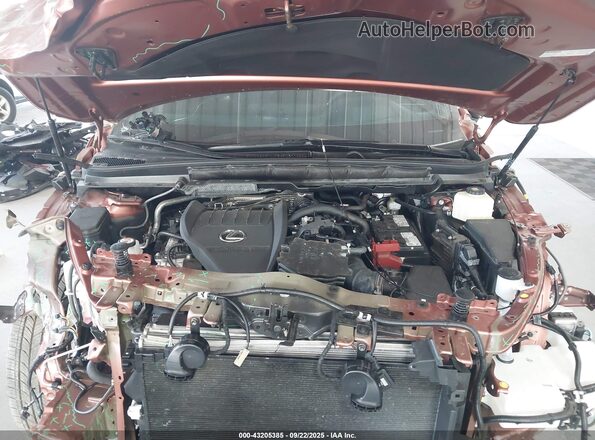 2T2BAMCA8RC056347 2024 LEXUS RX 350 Brown Widok z tyłu
