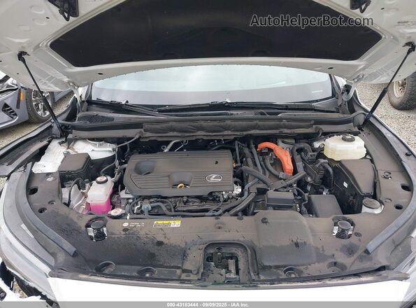 2T2BBMCA6RC031959 2024 LEXUS RX 350H Белый Вид сзади