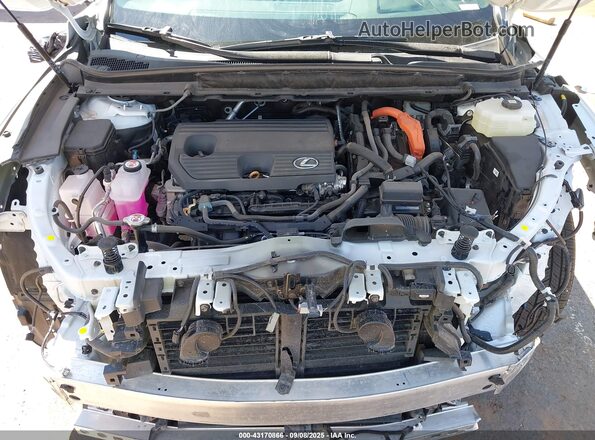 2T2BBMCA8SC084734 2025 LEXUS RX 350H Белый Вид сзади