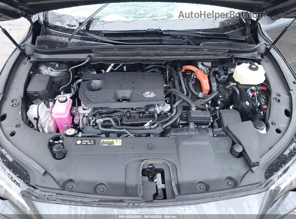 2T2BBMCAXSC089949 2025 LEXUS RX 350H Gray უკანა ხედი