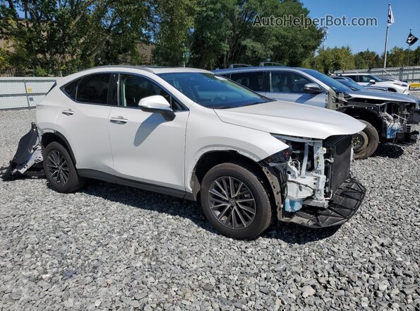 2T2GGCEZ4NC005777 2022 LEXUS NX White 