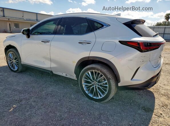 2T2GKCEZ9NC004056 2022 LEXUS NX White 