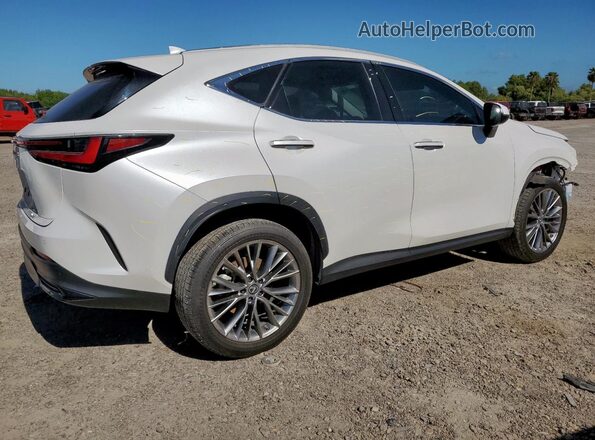 2T2GKCEZ9NC004056 2022 LEXUS NX White 