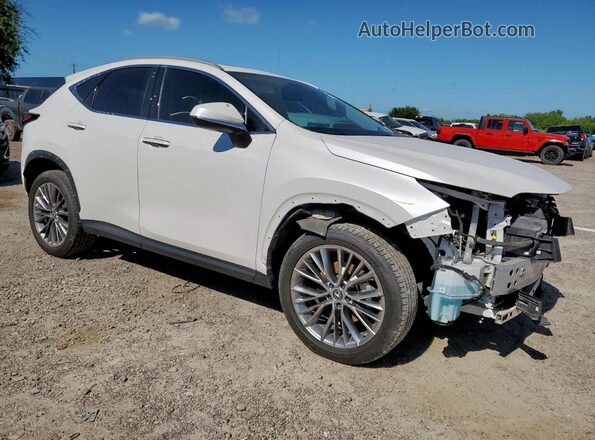 2T2GKCEZ9NC004056 2022 LEXUS NX White 
