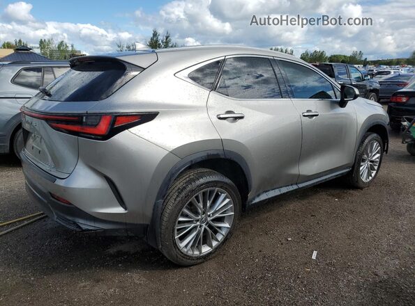 2T2GKCEZXNC009248 2022 LEXUS NX Beige Հետևի աջ
