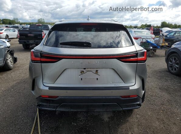 2T2GKCEZXNC009248 2022 LEXUS NX Beige Հետևի տեսք