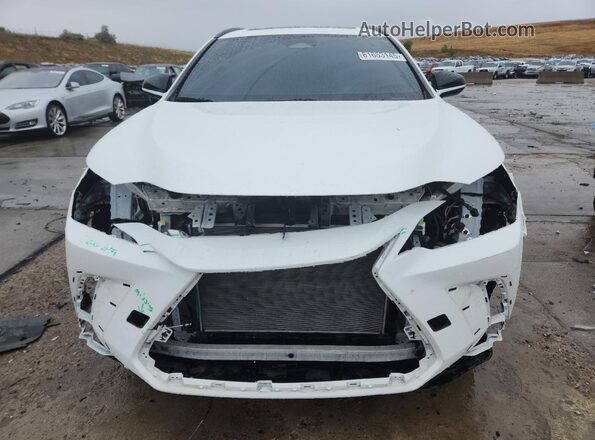 2T2KGCEZ6RC039350 2024 LEXUS NX White 