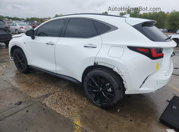 2T2KGCEZ6RC039350 2024 LEXUS NX White 
