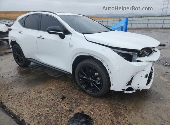 2T2KGCEZ6RC039350 2024 LEXUS NX White 