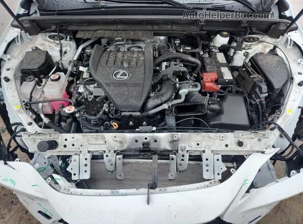 2T2KGCEZ6RC039350 2024 LEXUS NX White 
