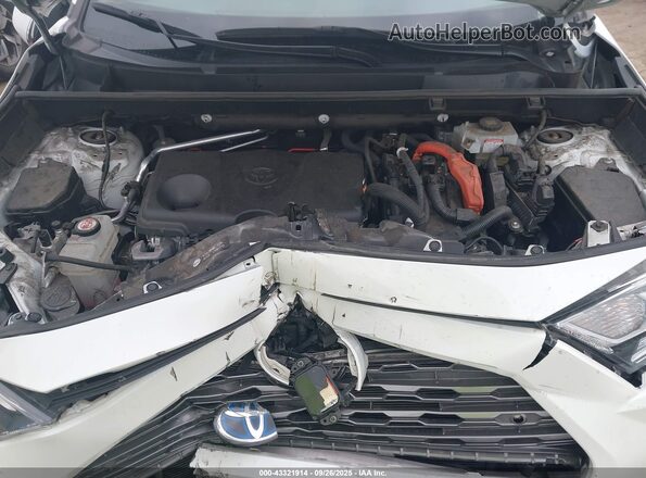 2T3DWRFV6LW063191 2020 TOYOTA LIMITED White Հետևի տեսք
