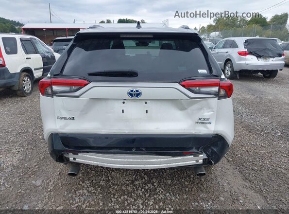 2T3E6RFV5PW038552 2023 TOYOTA RAV4 White 