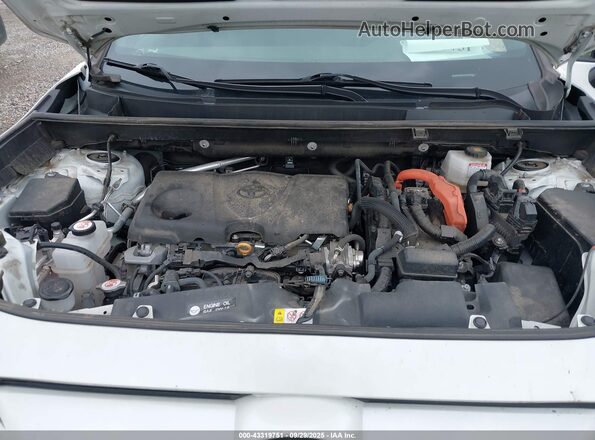 2T3E6RFV5PW038552 2023 TOYOTA RAV4 White Rear view